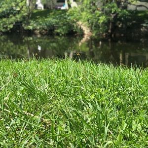 Meet your Posher, Cleopatra